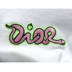2025年3月19日高品質新作Dior半袖Tシャツ HoHo工場