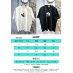 2025年3月19日高品質新作Dior半袖Tシャツ HoHo工場