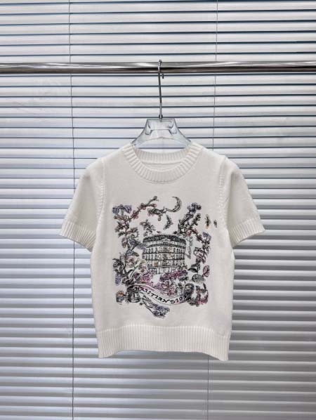 2025年3月19日入荷春夏新作Dior半袖 tシャツ ca...