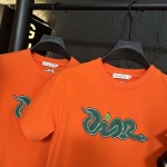 2025年3月23日入荷春夏新作Christian Dior半袖 Tシャツ can工場