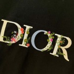 2025年3月26日入荷春夏高品質新作Dior半袖 tシャツTF工場