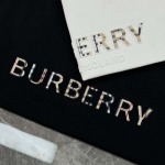 2025年3月27日入荷春夏高品質新作 burberry半袖 tシャツTF工場