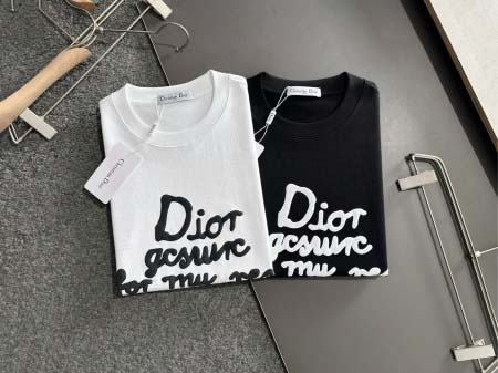 2025年4月6日入荷新作DIOR半袖 Tシャツ高級品/LD工場