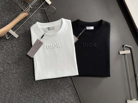 2025年4月6日入荷新作DIOR半袖 Tシャツ高級品/LD工場