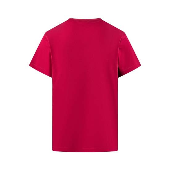 2025年4月17日入荷春夏新作 高級品原版復刻loewe半袖 tシャツMOMO工場