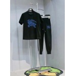2025年4月2日入荷新作burberry夏メンズ 上下セットM-5XL/zhan工場