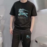2025年4月2日入荷新作BURBERRY夏メンズ 上下セットM-5XL/zhan工場