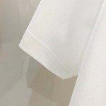 2025年4月3日入荷新作Dior半袖 Tシャツ高級品/LD工場