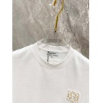 2025年4月3日入荷新作LOEWE半袖 Tシャツ高級品/LD工場