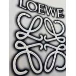 2025年4月4日入荷新作loewe半袖 Tシャツ高級品/LD工場