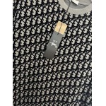 2025年4月4日入荷新作DIOR半袖 Tシャツ高級品/LD工場