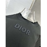 2025年4月4日入荷新作DIOR半袖 Tシャツ高級品/LD工場