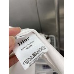 2025年4月4日入荷新作DIOR半袖 Tシャツ高級品/LD工場