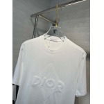 2025年4月4日入荷新作DIOR半袖 Tシャツ高級品/LD工場