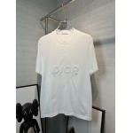 2025年4月4日入荷新作DIOR半袖 Tシャツ高級品/LD工場