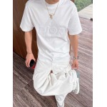 2025年4月4日入荷新作DIOR半袖 Tシャツ高級品/LD工場