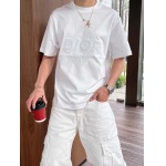 2025年4月4日入荷新作DIOR半袖 Tシャツ高級品/LD工場
