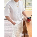 2025年4月4日入荷新作DIOR半袖 Tシャツ高級品/LD工場