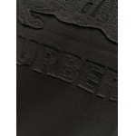 2025年4月6日入荷新作BURBERRY半袖 Tシャツ高級品/LD工場