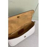 2025年5月28日入荷新作Coach 2月新品 CAN90 CAN91 CAN92 Brook Chain bag  SIZE:  23-12-4   お安い/人気/本革 バッグ/XX工場