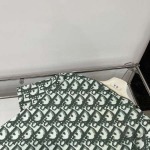 2025年6月10日入荷春夏新作Dior半袖 Tファッション/誕生日プレゼント/贈り物 can工場