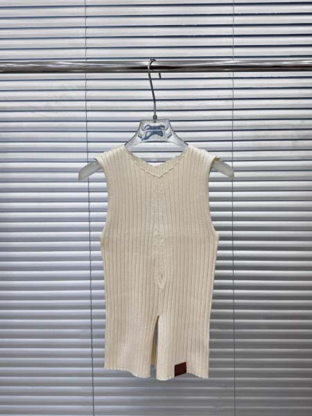 2025年6月10日入荷春夏新作Louis Vuittonタ...