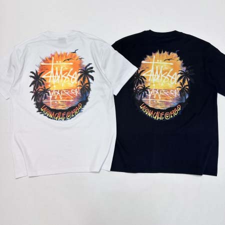 2025年6月12日入荷新作STUSSY SS24 SUNS...