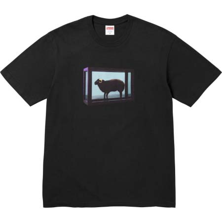 2025年6月13日入荷新作T SUPREME SS25 D...