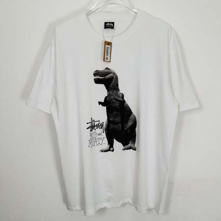 2025年6月13日入荷新作T STUSSY SS25 BI...