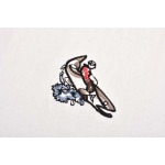 2025年6月22日入荷新作BV半袖 tシャツ 原版復刻人気で【极品】/YGY工場