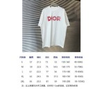 2025年8月8日入荷新作DIOR半袖 tシャツ高品質人気商品/DW工場S-XXL