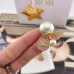 2025年9月25日入荷新品Diorピアスギフト/誕生日/記念品/アクセサリーxin工場