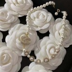 2025年9月25日入荷新品CHANELネックレスギフト/誕生日/記念品/アクセサリーxin工場