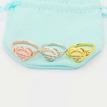 2025年9月26日入荷新品Tiffanyネックレスギフト/誕生日/記念品/アクセサリーxin工場