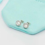 2025年9月26日入荷新品Tiffanyピアスギフト/誕生日/記念品/アクセサリーxin工場