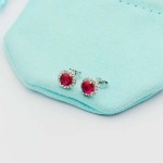 2025年9月26日入荷新品Tiffanyピアスギフト/誕生日/記念品/アクセサリーxin工場
