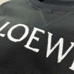 2025年10月9日秋冬入荷新作LOEWEスウェット高品質安い人気商品/HL工場