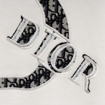 2025年10月12日秋冬入荷新作Dior スウェット高品質 人気商品/HL工場