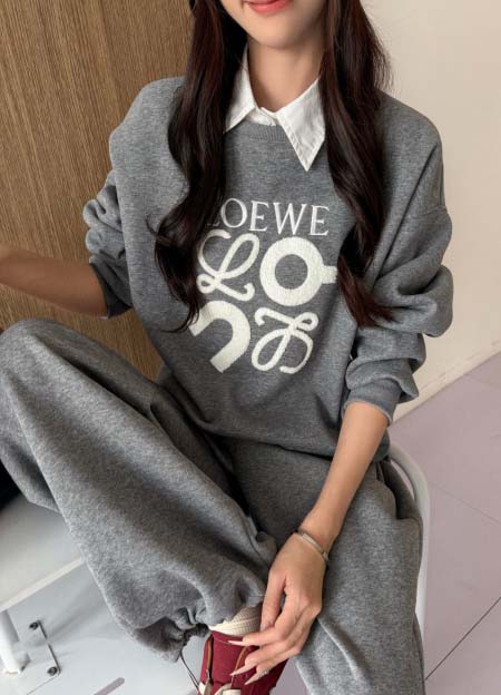 2025年10月14日入荷秋冬新作LOEWEスウェットファッ...