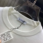 2025年10月15日入荷新作loeweウール混紡 ニット/セーター  秋冬高品質超厳選★入手困難/LD工場