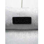 2025年10月20日秋冬入荷新作Diorダウンジャケット高品質 人気商品/HL工場