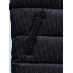 2025年10月20日秋冬入荷新作Diorダウンジャケット高品質 人気商品/HL工場