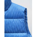 2025年10月20日秋冬入荷新作Diorダウンジャケット高品質 人気商品/HL工場