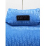 2025年10月20日秋冬入荷新作Diorダウンジャケット高品質 人気商品/HL工場