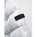 2025年10月20日秋冬入荷新作Diorダウンジャケット高品質 人気商品/HL工場