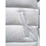 2025年10月20日秋冬入荷新作Diorダウンジャケット高品質 人気商品/HL工場