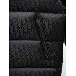 2025年10月20日秋冬入荷新作Diorダウンジャケット高品質 人気商品/HL工場