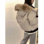 2025年10月20日秋冬入荷新作Can-ada gooseダウンジャケット高品質 人気商品/HL工場