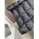 2025年10月22日秋冬入荷新作Diorダウンジャケット高品質 人気商品/DD工場