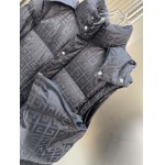 2025年10月23日秋冬入荷新作Fendiダウンジャケット高品質 人気商品/DD工場